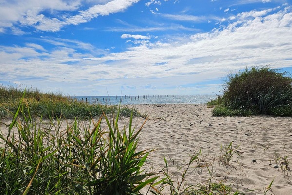 House | Beach