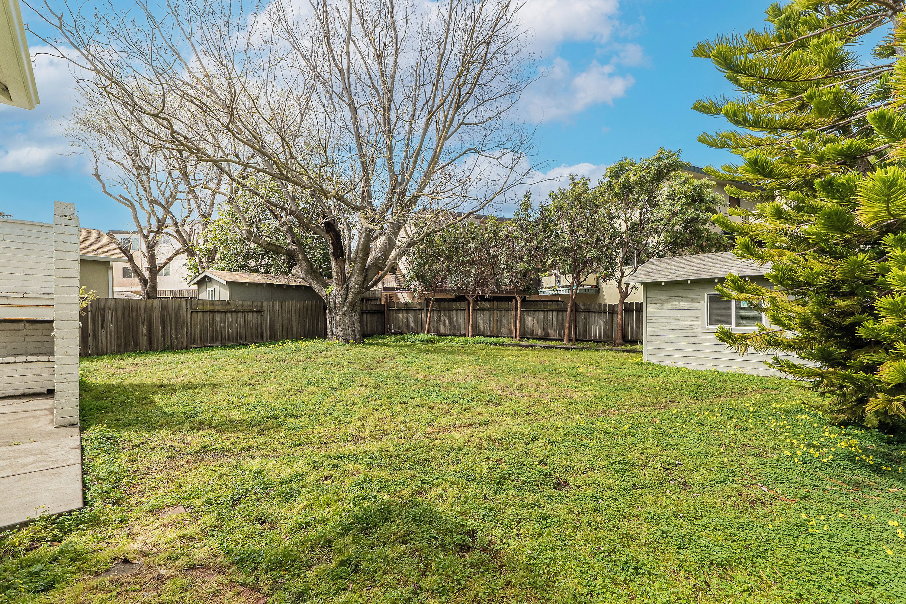 A residential backyard with a wooden fence, a tree, and a small shed.
