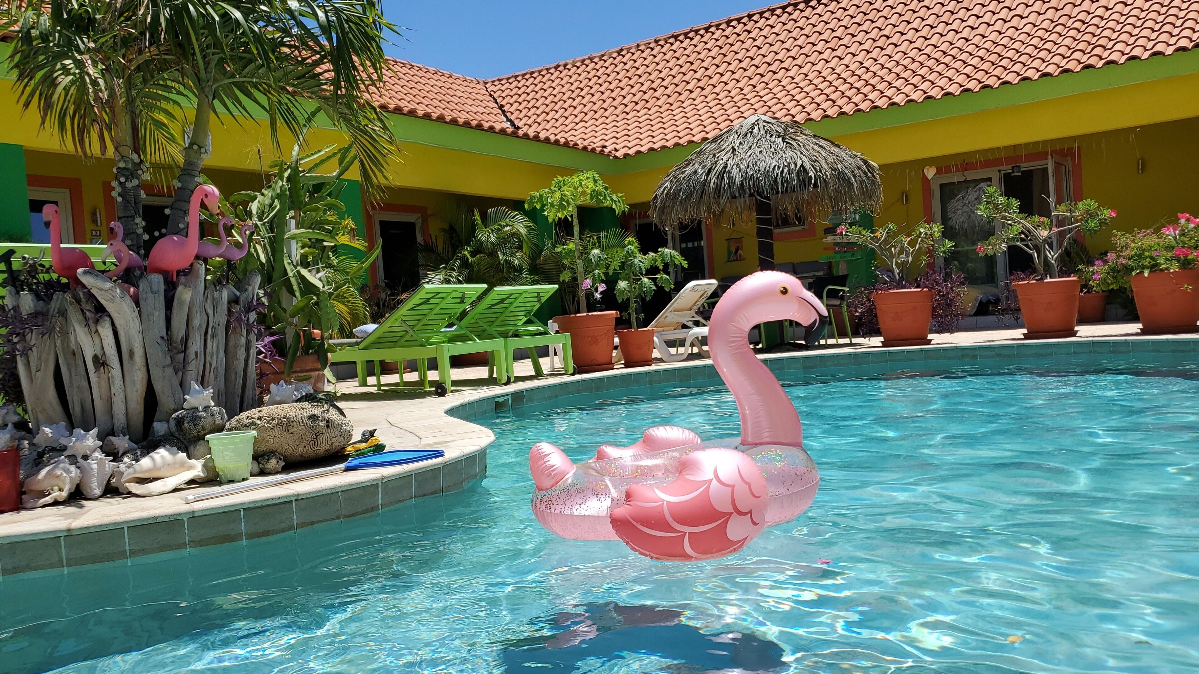 Piscine extérieure