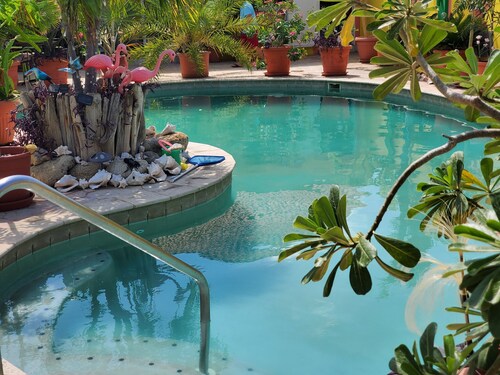 cozy apartments with a 24-hour swimming pool for family-friendly or pet-friendly
