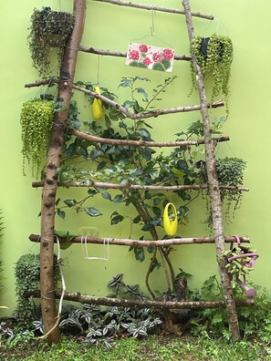 Property grounds - Charming Antigua Retreat 2BR + Lofts with Parking (Antigua Guatemala)