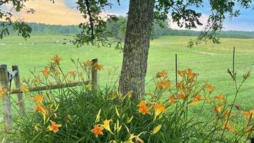 DĂ©tail de lâextĂ©rieur