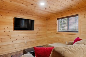 TV, fireplace, books