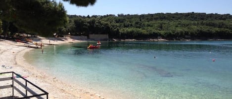 الإطلالة من المنشأة