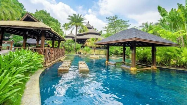 Zona de piscina amb una gasiporta, palmeres i un ambient tropical.