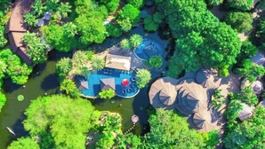 Vista aèria d'un jardí exuberant amb piscina, envoltat de vegetació densa i diverses plantes.