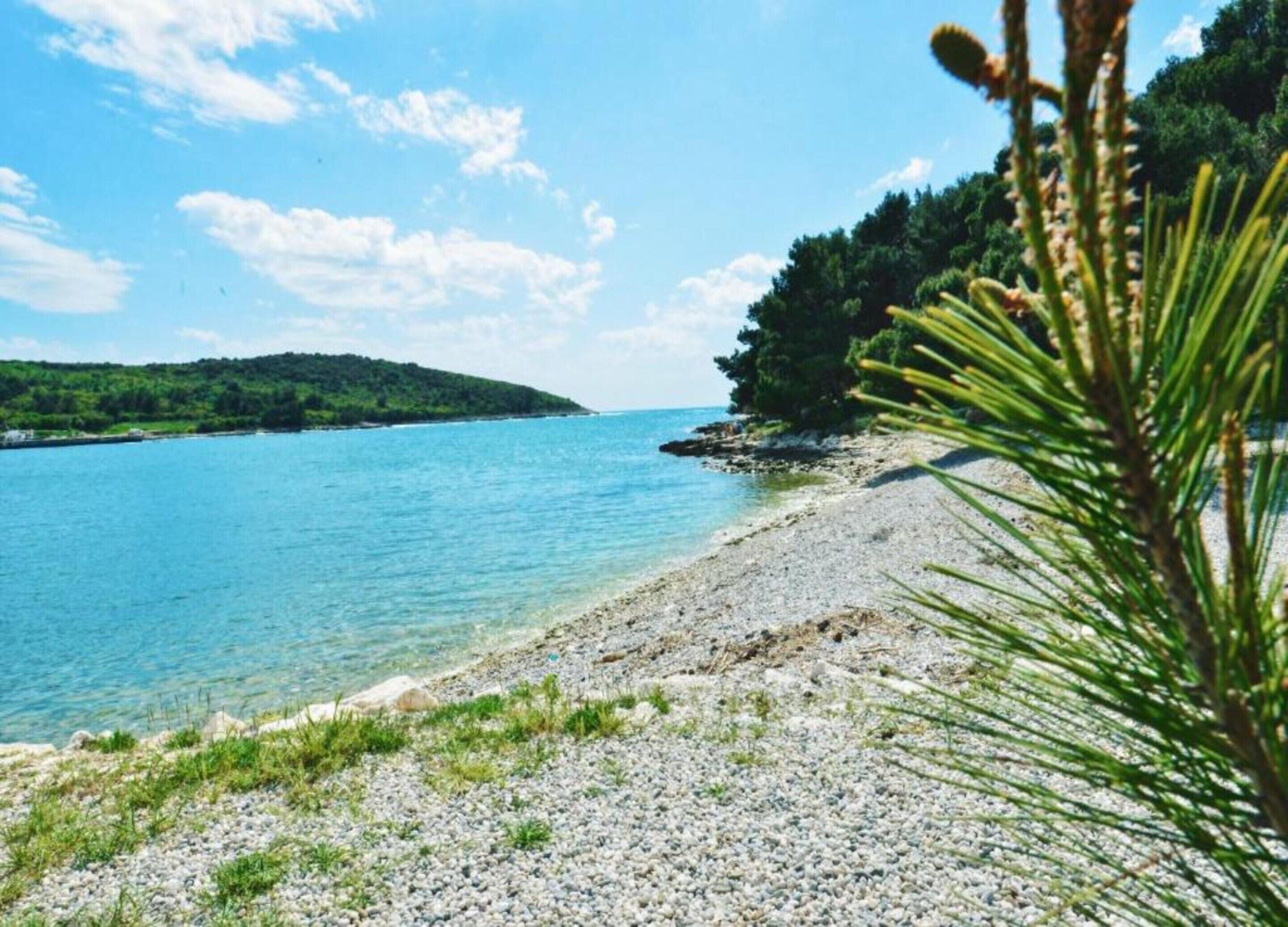 A pebble beach with clear water and greenery.