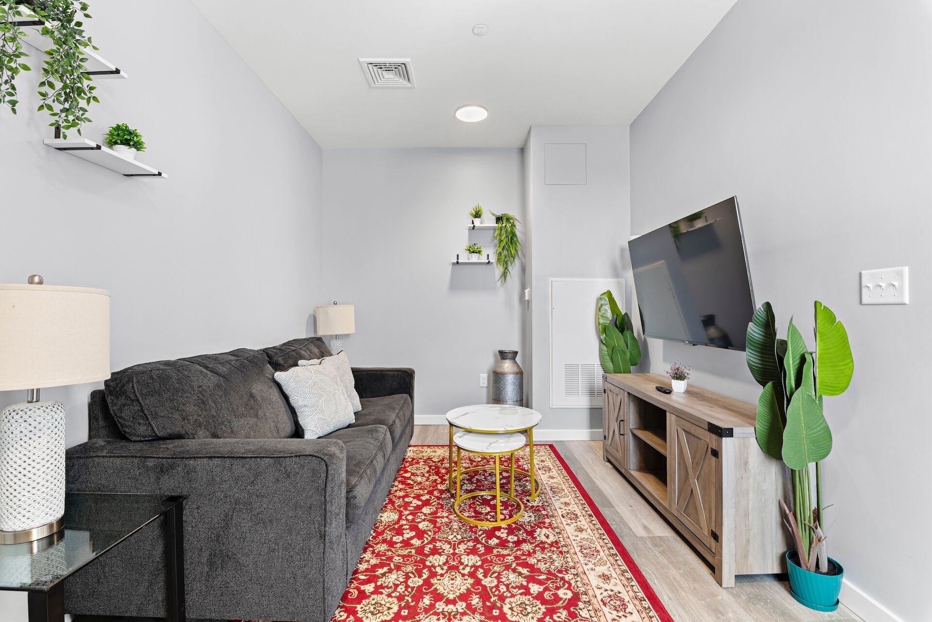 A modern living room with a grey sofa, a red patterned rug, a TV, and various plants.