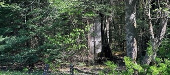 Glamping hut with WiFi in Ripton, biking, hiking, skiing