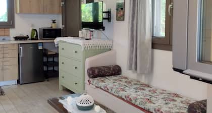 olea cottage, a peaceful retreat in an olive grove in Galatas.