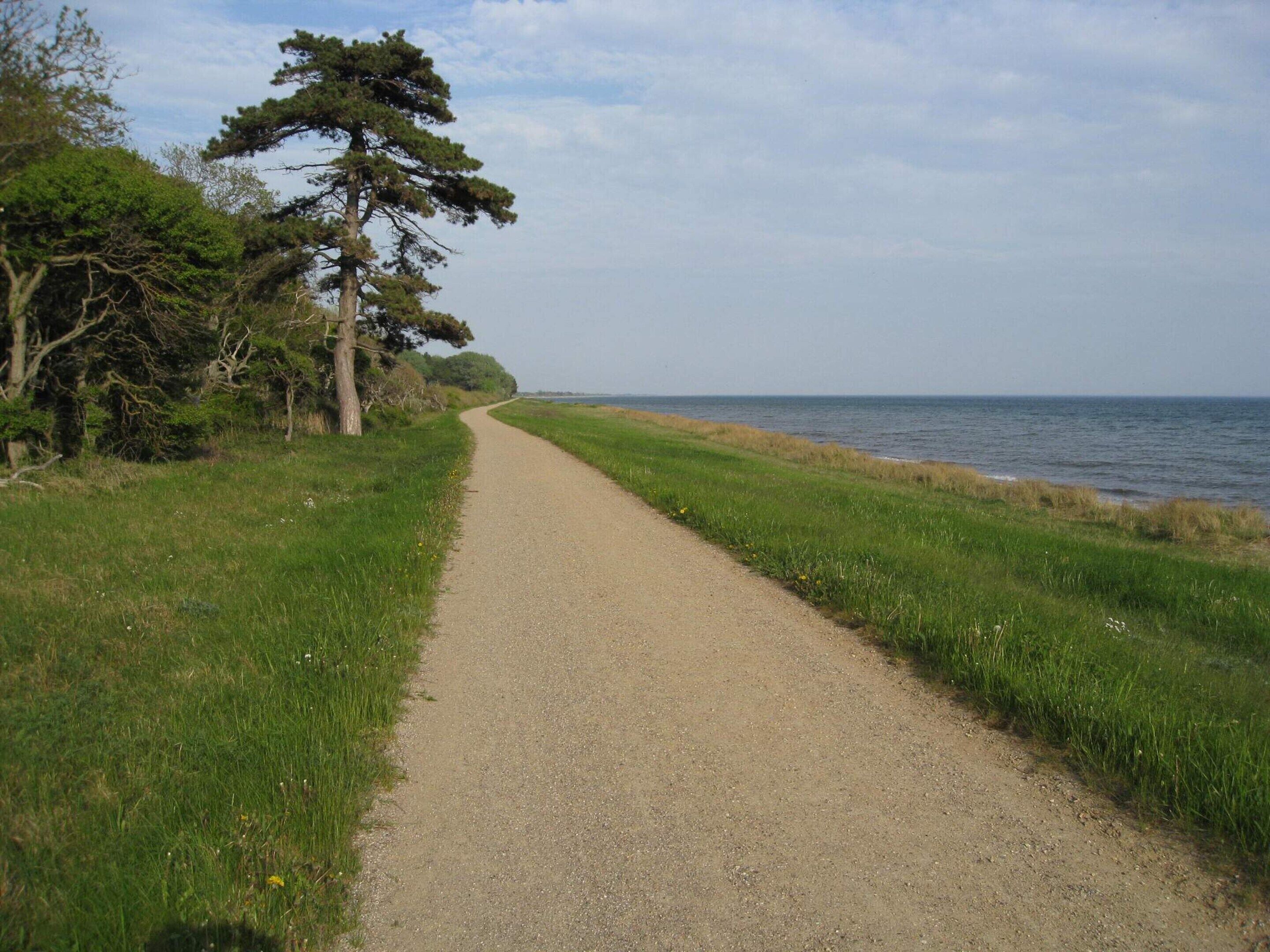 A gravel path leading to a beach with a clear view of the ocean.