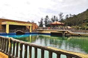 Ảnh chưa phân loại, 3 trong số 147 ảnh, nút