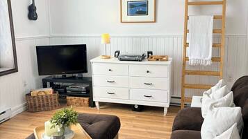 TV, fireplace, books, video library