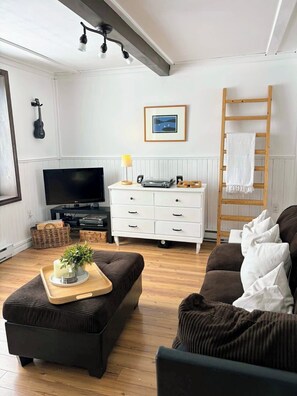 Fernseher, Kamin, Bücher, Videothek