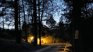 Un chalet rustique, accessible par un chemin de gravier, entouré de grands arbres.