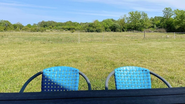 A grassy field with two blue chairs and a wooden table. - 4 Star Holiday Home in Burgsvik (Burgsvik)