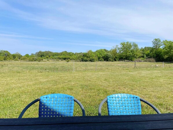 Ferienhaus | Außenbereich