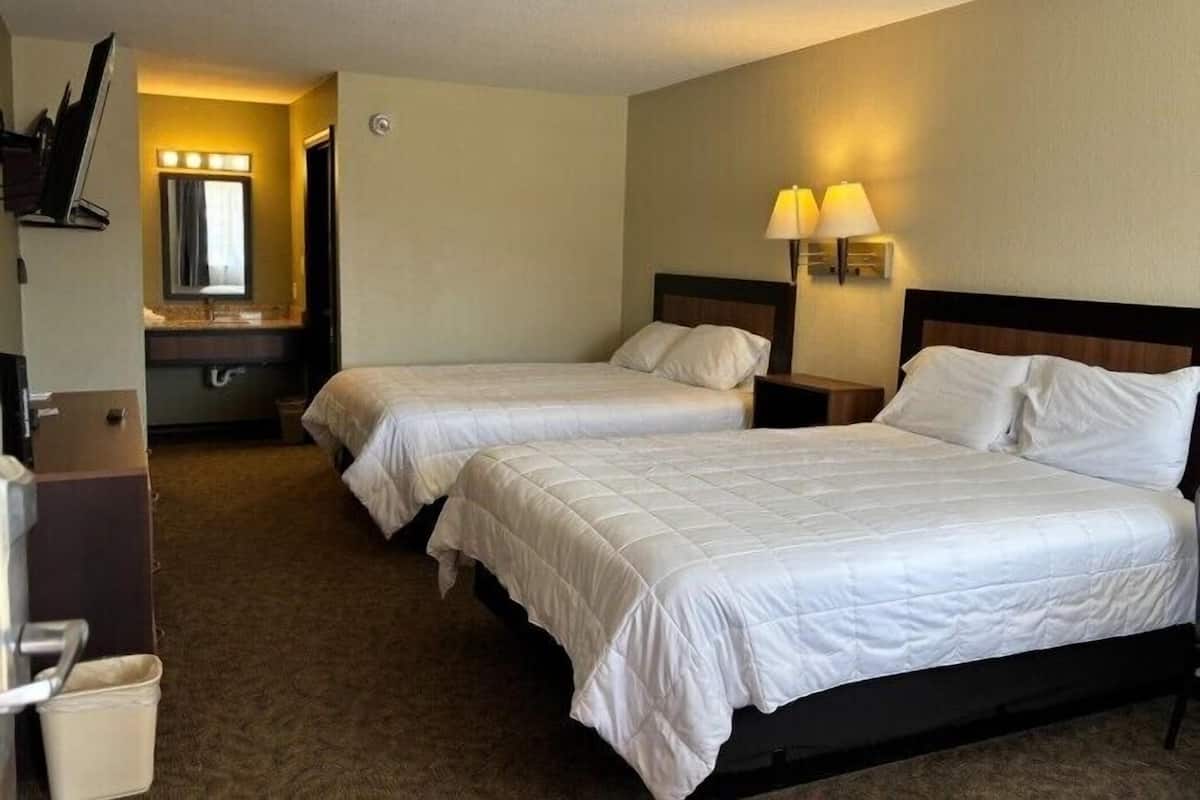 Una habitación de hotel con dos camas, un espejo, un tocador con luces y un cubo de basura pequeño.
