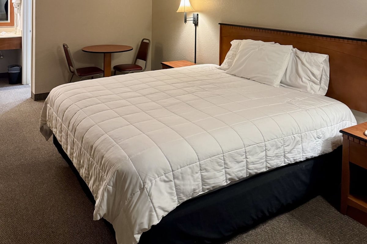 Classic Single Room | Desk, iron/ironing board, free WiFi