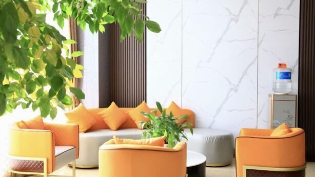 Un salon moderne avec un canapé, deux fauteuils, une table basse et une plante en pot.
