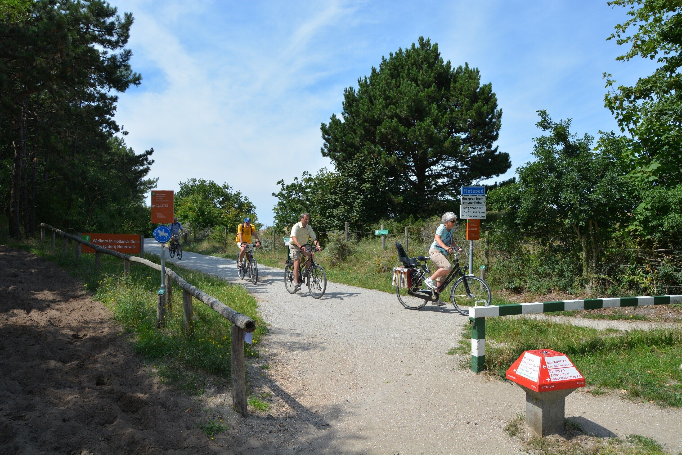 En støvet sti med cyklister, omgivet af grøn vegetation og træer.