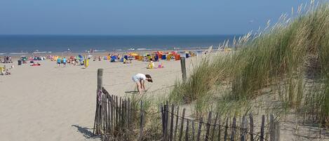 Vista desde la propiedad