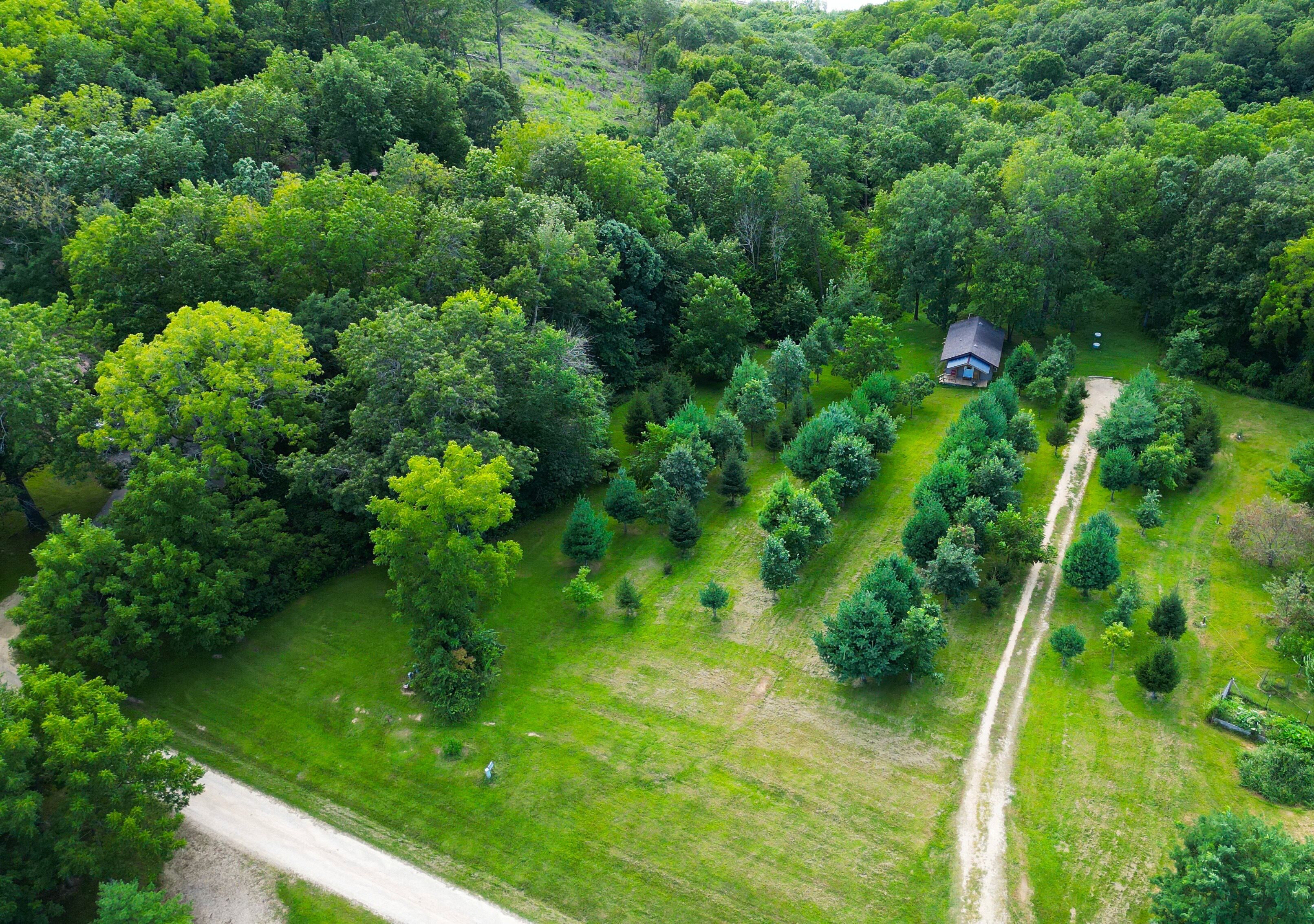 An aerial view of a rural property with a single house surrounded by dense forest, a clear path leading to the house, and a dirt road adjacent to the property.