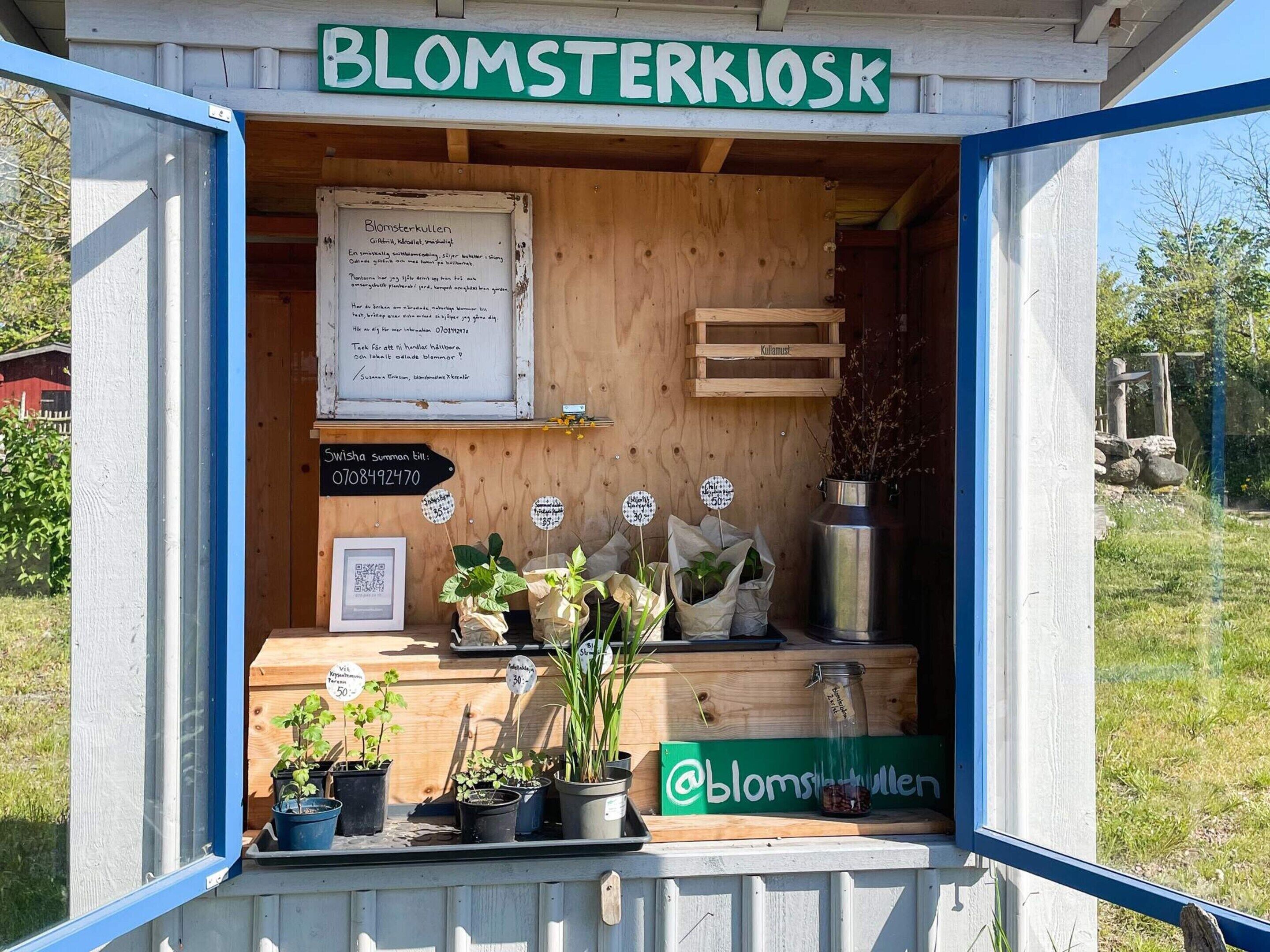 Ferienhaus | Unterkunftsgelände