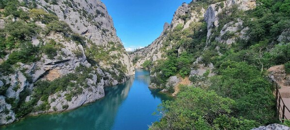 A narrow canyon with a river, surrounded by rocky cliffs and greenery.