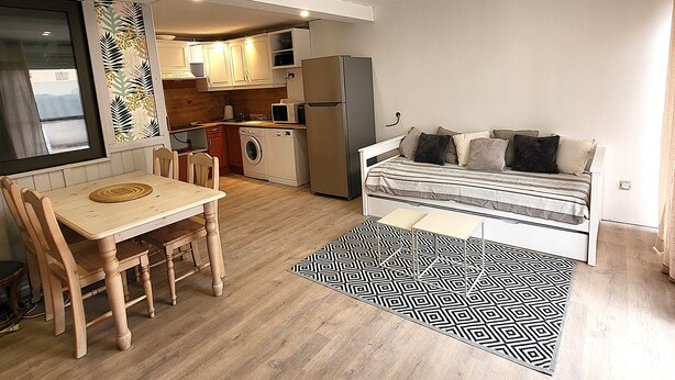 A compact living space with a kitchenette, a dining area, and a sofa bed. - Le 108: Ground floor apartment with large terrace on the seafront (Leucate)