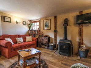 TV, fireplace - The Old Tack Room - UK49233 (Tilshead)