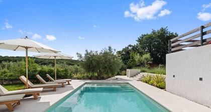 Villa in Vintijan With Private Pool