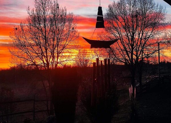 View from property