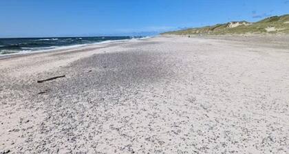 4 Star Holiday Home in Norre Nebel