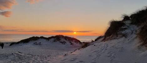 ハウス | ビーチ