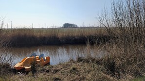 Uklassifisert bilde, 2 av 6, knapp