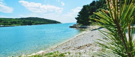 Apartment | View from property