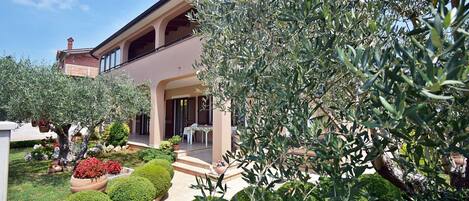 A modern two-story building with a well-maintained garden featuring olive trees and manicured bushes.
