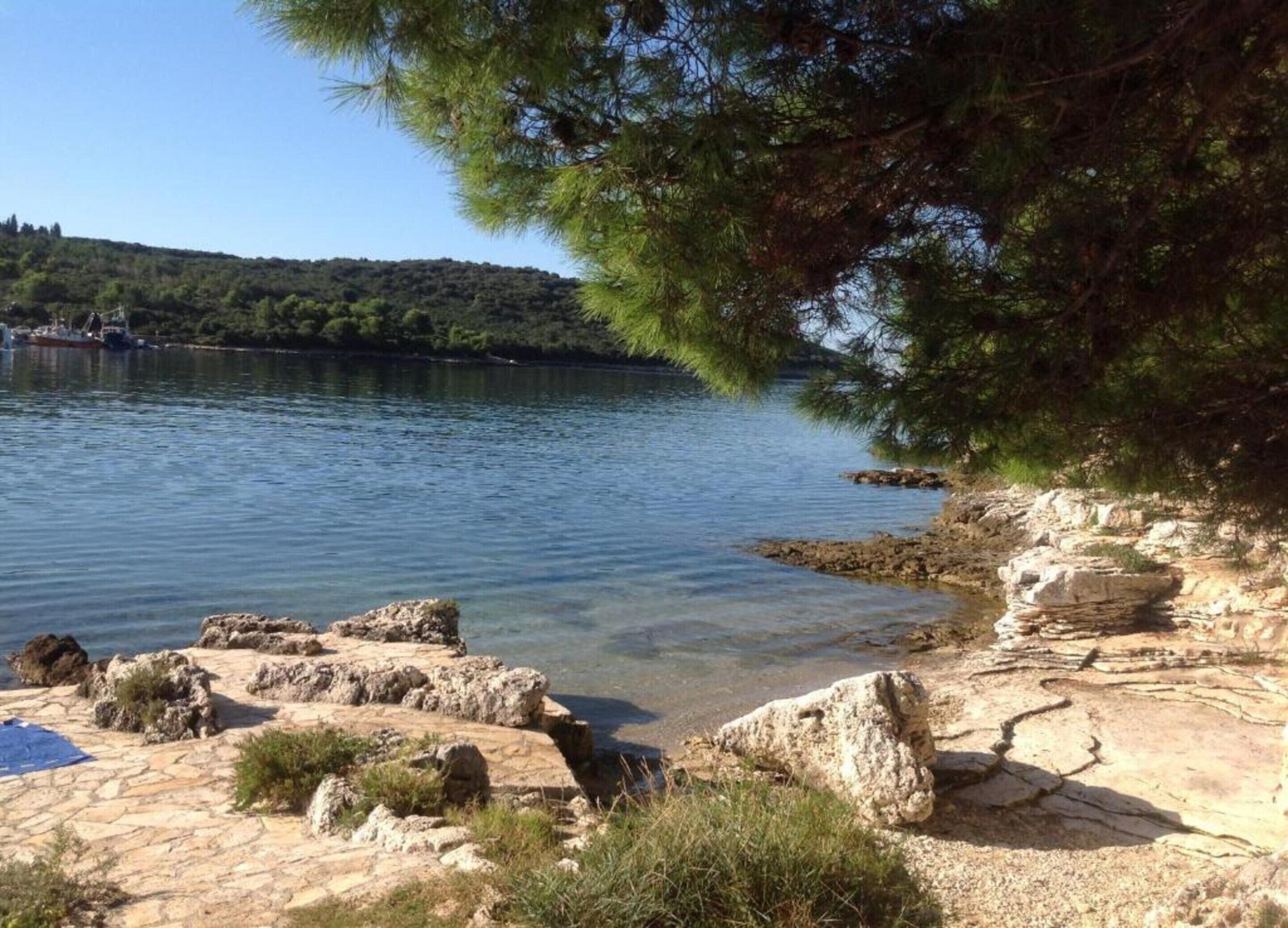 Una costa rocosa con agua cristalina, un pino y una colina distante.