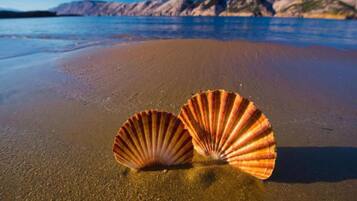 Mobile Home | View from property