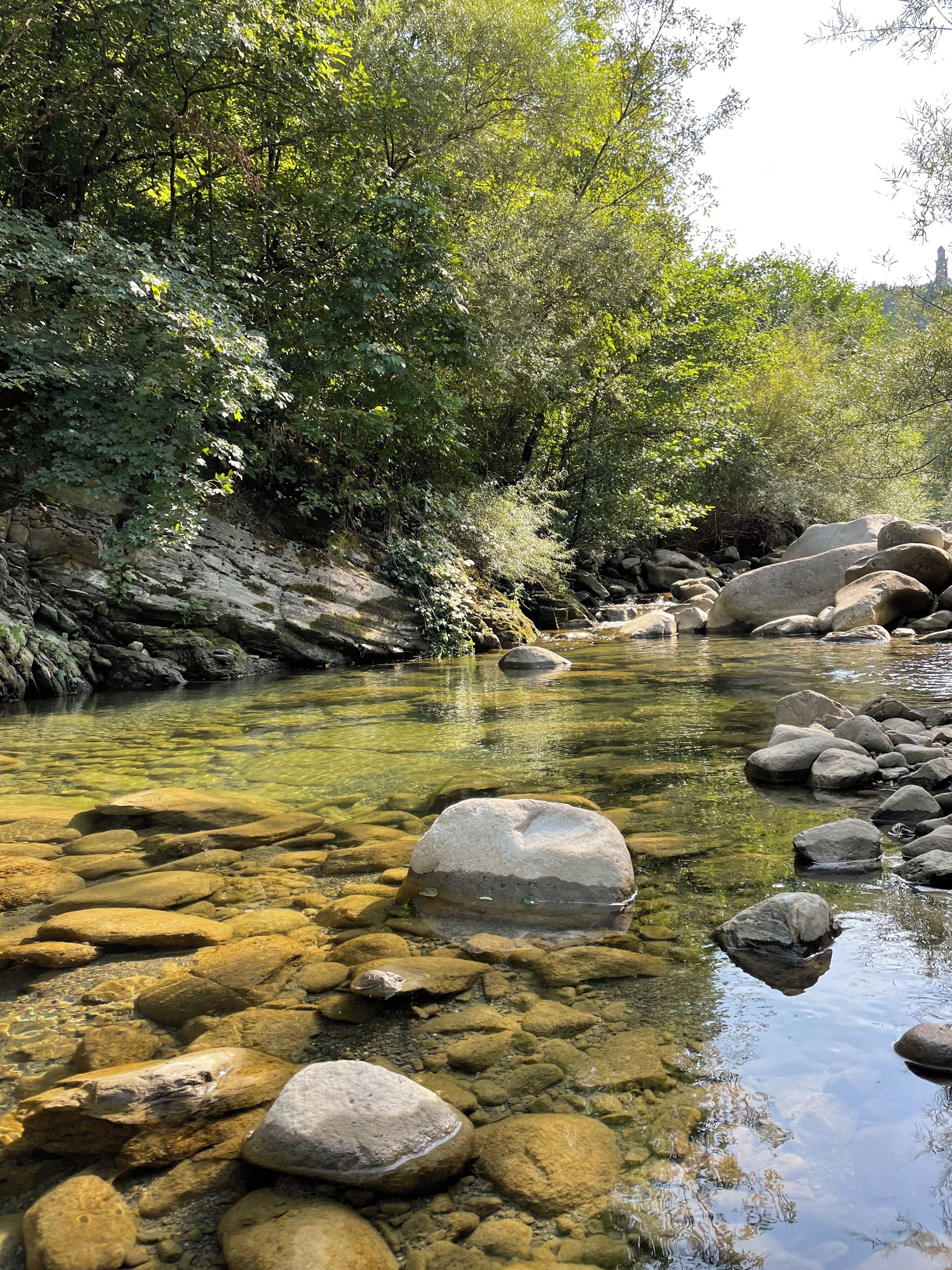A clear stream with rocks and trees.