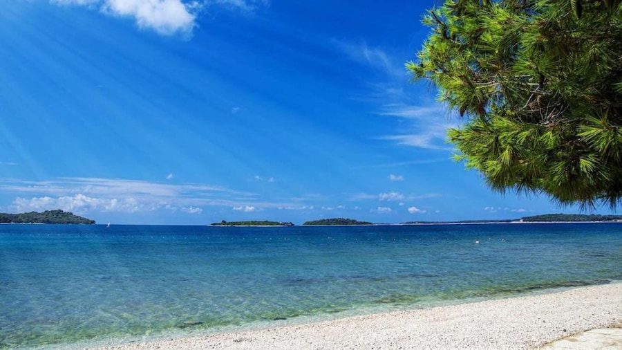 Apartment in Valbandon Near Beach & Pool