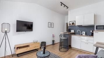 Apartment | Living room | Fireplace