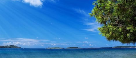 公寓 | 住宿景觀