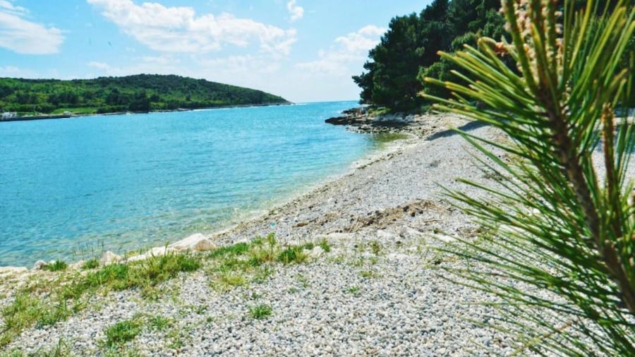 Apartment in Banjole Near Volme Beach