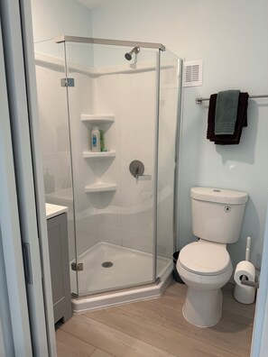 Hair dryer, towels, soap, shampoo