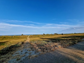 A dirt path leading through a grassy field with a clear blue sky above. - 6 Person Holiday Home in Idestrup (Idestrup)