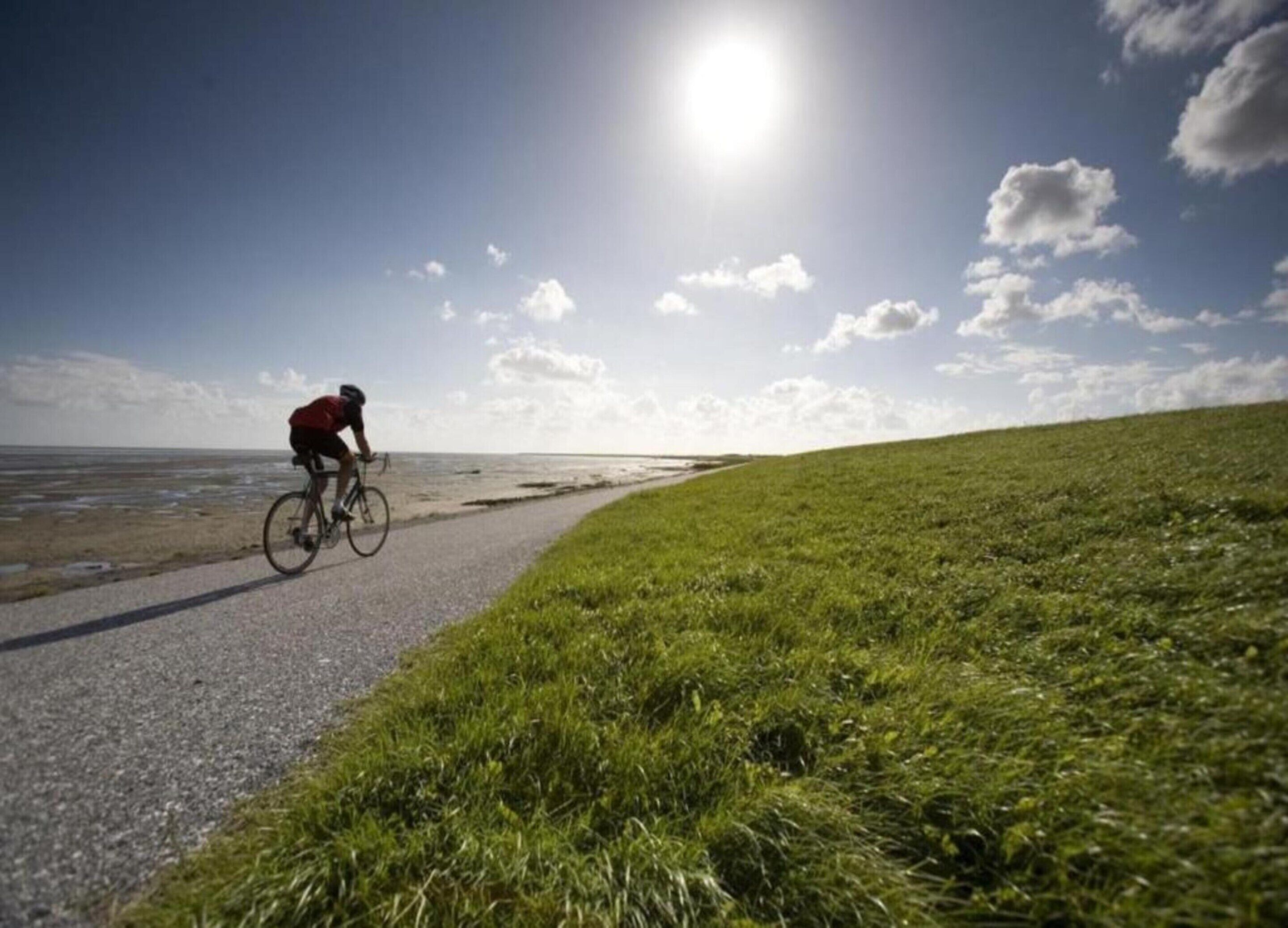 A cyclist on a paved path beside a grassy area with a clear sky and sun.
