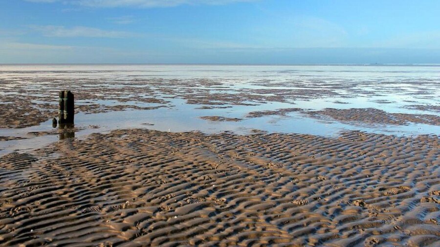 Holiday Home Near Wadden Sea Elfsteden Route
