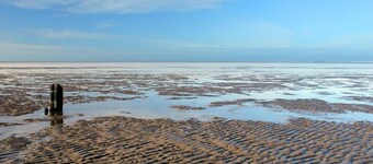 Holiday Home Near Wadden Sea Elfsteden Route